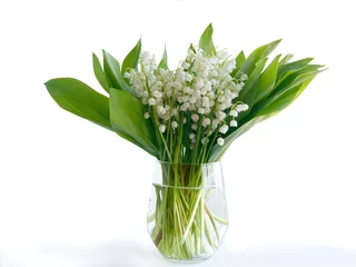 Stof per meter lily-of-the-valley flowers as pretty spring flowers © Maria Brzostowska