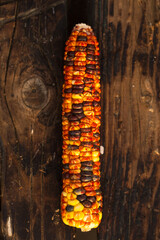 One corn on a wooden background