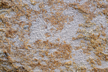 The surface of the large boulders by the sea