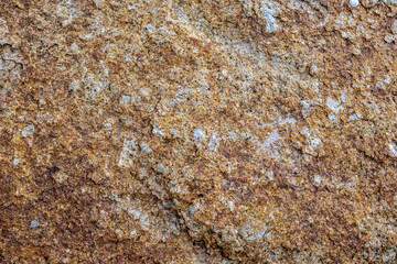 The surface of the large boulders by the sea