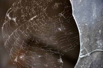 Spinnweben, Spinnennetz, Fenster, gebrochen, Glas, Scheibe, Glasscheibe, gebrochen, Splitter,...