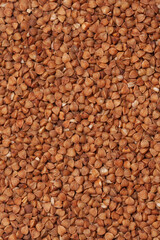 Buckwheat texture background close up. Natural healty food.