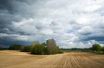 Pole © Krzysiek Cegiełka