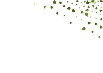 Swamp Greens Realistic Vector White Background