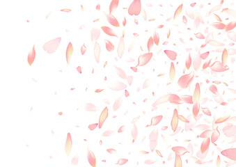 Purple Lotus Petal Vector White Background. White