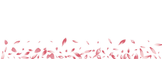 Color Peach Petal Vector Panoramic Background.