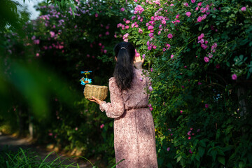 The back view of tourists in the garden in the afternoon