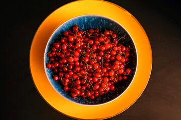 Plate full of ripe Redcurrant berries.