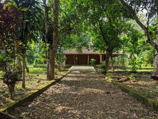 gazebo in the garden
