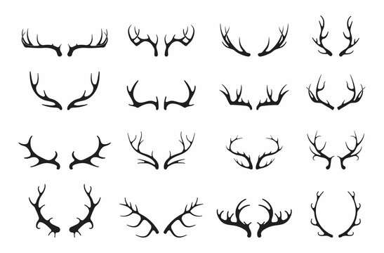 Deer antlers vector set. Silhouette of the horns of a wild elk, roe deer on a white background.