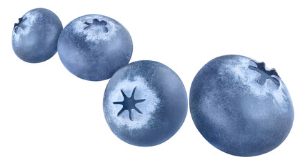 Flying blueberries, isolated on white background