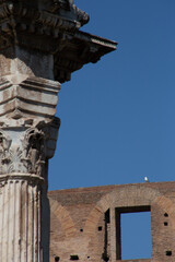 foto roma, colosseo, turisti, fori imperiali