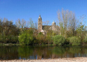 Fototapeta premium idyllic and relaxing view of the river banks in Lyon