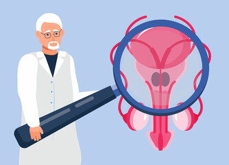 Doctor looks at the prostate through a magnifying glass. Prostate icon concept vector. Andrology andrology illustration for web, landing page, blog.