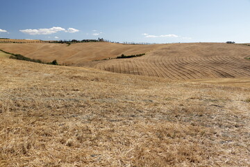Campagna Toscana dopo la mietitura del grano in una calda giornata estiva - Asciano - Toscana - Italia