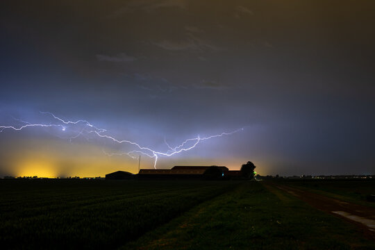 Dramatic image of lightning cleaving the sky above a farm during a thundery night in May. The orange color on the horizon is caused by light pollution from illuminated greenhouses.