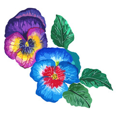 watercolor flower pansies blue and purple with foliage. single element. for design and patterns. vector