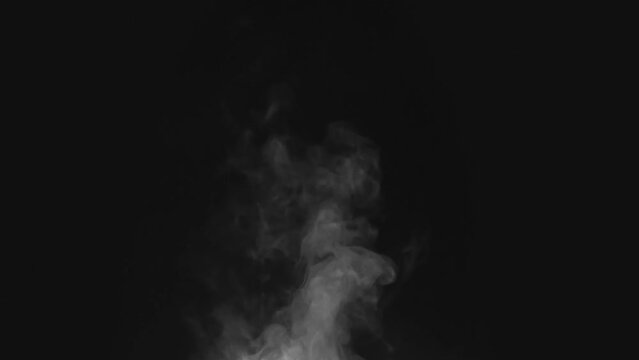 Ornate Steam from the Surface of Hot Tea. The curving stream of hot steam from a large cup of tea gradually loses its intensity