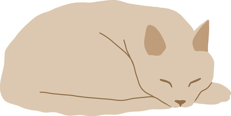 Light cat sleeps curled up