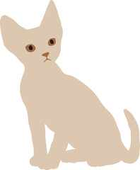 Beige shorthair cat with big ears sits on its hind legs