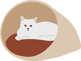 A white cat of the Turkish angora breed lies in a couch with a roof