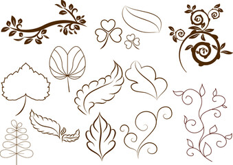 Leaf drawing pattern