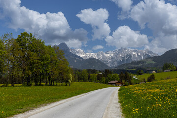 Fototapeta na wymiar landscape in the Austrian highlands, green fields and blue mountains