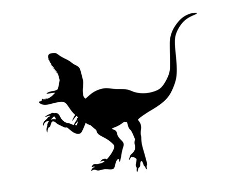 Dinosaur Vector. black dinosaur vector image