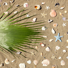 Green palm leaf on yellow beach sand among seashells and starfish in sunlight