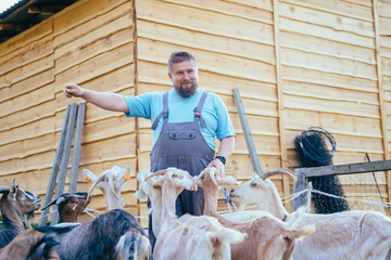 Happy positive farmer man between his domestic animals. Male farmer in overall goat herder smiling...