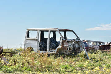 Abandoned school bus. Old damaged cars in the junkyard. Car graveyard.