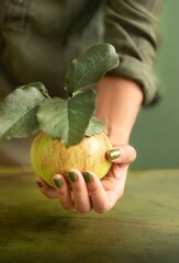 hands holding a apple