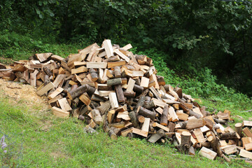 Turkey: Winter prepared wood from trees cut from forests in Ordu