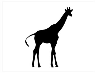 Black flat silhouette standing giraffe Royalty Vector Image for free EPS