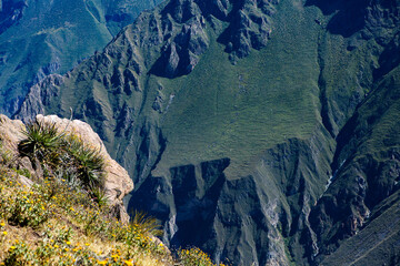 View of Colca Canyon in Peru. It is one of the deepest canyons in the world. Beautiful nature in...