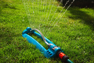 Garden lawn sprinkler on grass with water spray - obrazy, fototapety, plakaty
