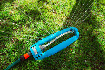 Garden lawn sprinkler on grass with water spray
