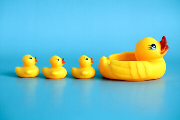 rubber duck with ducklings on a blue background.