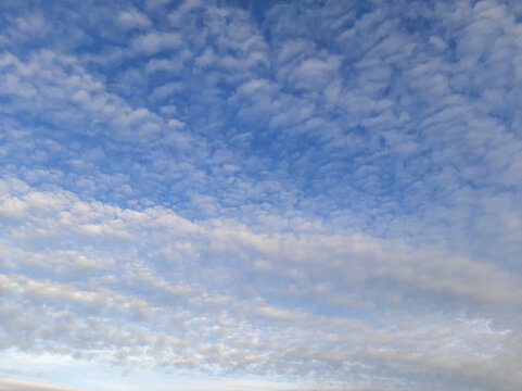 Beautiful blue sky with fluffy white cirrocumulus clouds