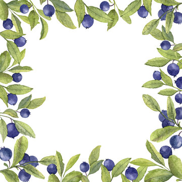 Blueberry frame. Hand drawn watercolor square background with blue Berry fruits. Backdrop with wild forest blackberry. Summer Border for invitation
