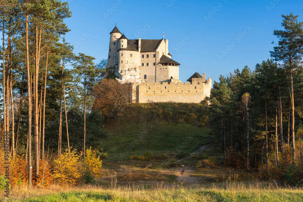 Wall mural Zamek Bobolice