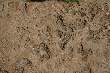 detail of old and stone stair step