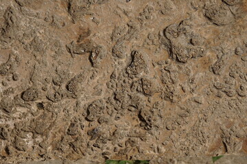 stone stair tread, old and weathered details, background