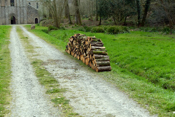 Obraz premium tas de bois bucheron