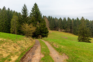 Fototapeta na wymiar Wanderung zum Ruppberg im Thüringer Wald bei Zella-Mehlis - Deutschland