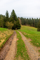 Fototapeta na wymiar Wanderung zum Ruppberg im Thüringer Wald bei Zella-Mehlis - Deutschland