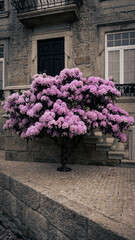 Fototapeta na wymiar Flower Tree