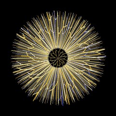 Abstract illustration featuring golden and blue lines radiating from a golden flower-like center