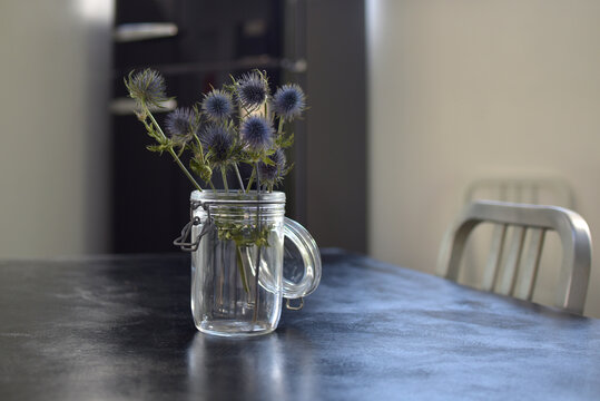 bocal de fleurs de chardons