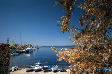 Krajobraz morski w Bułgarii © anettastar